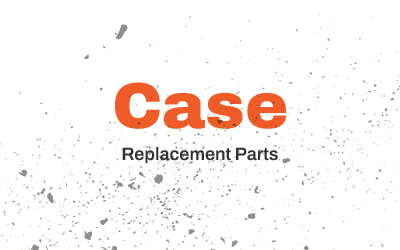 Case
