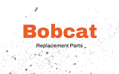 Bobcat